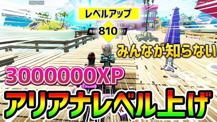 【最速レベル上げ】1日で3000000XP!アリアナを使ったチート級な方法紹介【  フォートナイト Fortnite バグ  シーズン8 ギフト企画】