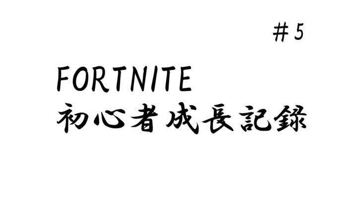 [フォートナイト/Fortnite]初心者が毎日練習　建築・編集・エイム day5