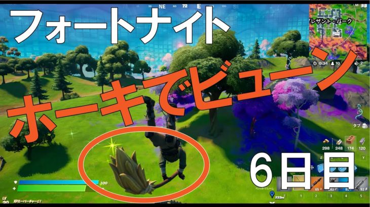 【初心者】フォートナイト/Fortnite day6 シーズン8 ホーキでビューン編