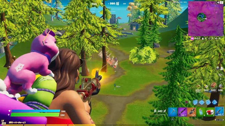 Fortnite フォーナイト　初心者？　ビクロイ