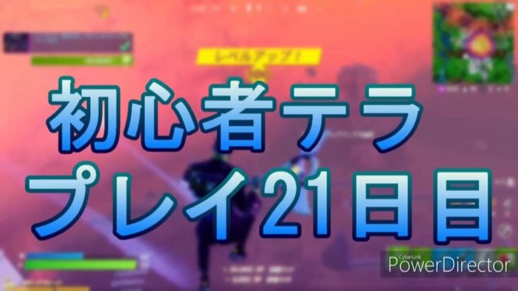 【初心者】プレイ２１日目の記録！！【Fortnite】【フォートナイト】