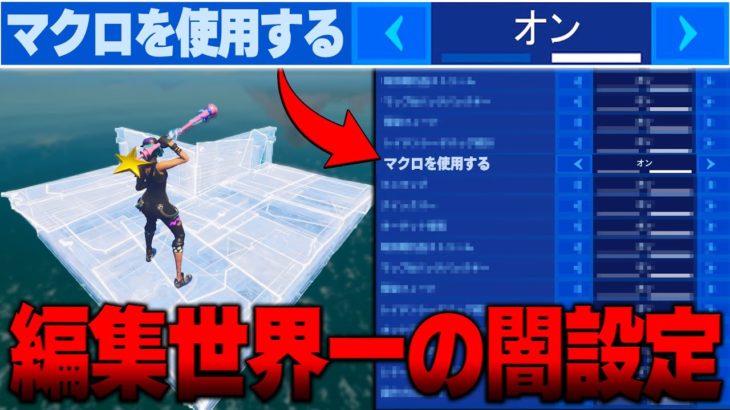 100万人にマクロを疑われた男の設定がやばかった…【マクロ】【フォートナイト/Fortnite】