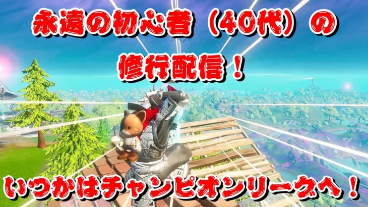 【フォートナイト】永遠の初心者（40代）の修行配信！【Fortnite】