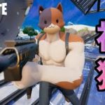 【フォートナイト】初心者が感動する気配りキャリー【Fortnite】