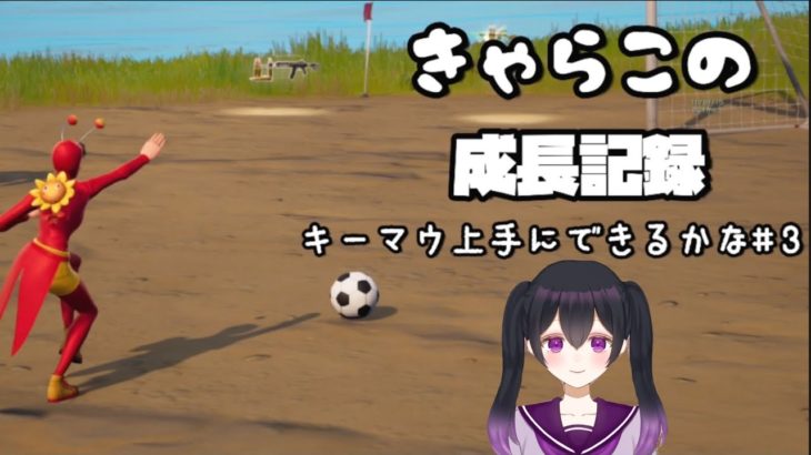 【フォートナイト】カニクリームコロッケの話【キーマウ】【初心者】