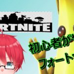 【Fortnite】雑談しながら、まったりフォートナイト（初心者）