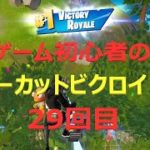 ゲーム初心者のノーカットビクロイ29回目【フォートナイト/FORTNITE】