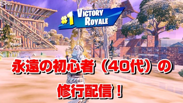 【フォートナイト】永遠の初心者（40代）の修行配信！【Fortnite】