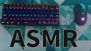 【ASMR】直差し初心者の音フェチ動画！ 【フォートナイト/Fortnite】