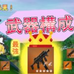 【フォートナイト】初心者必見！勝てるようになる武器構成講座　C3S1