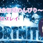 【Fortnite】超初心者がよちよちフォートナイトをプレイしていく！