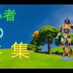 雑魚のキル集　フォートナイト/fortnite/キル集/もちもち/初心者