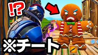 スキンコンテストで絶対入手できないチートスキンが登場したんだけどwｗｗ【フォートナイト / Fortnite】