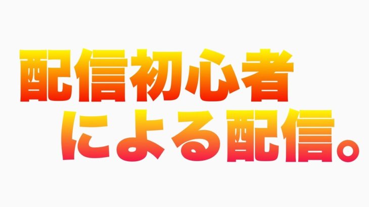 配信初心者による配信。【フォートナイト】＃5