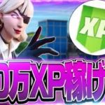 【無限XP】秒で100万XP獲得できるマップを試してみたらヤバすぎたwe