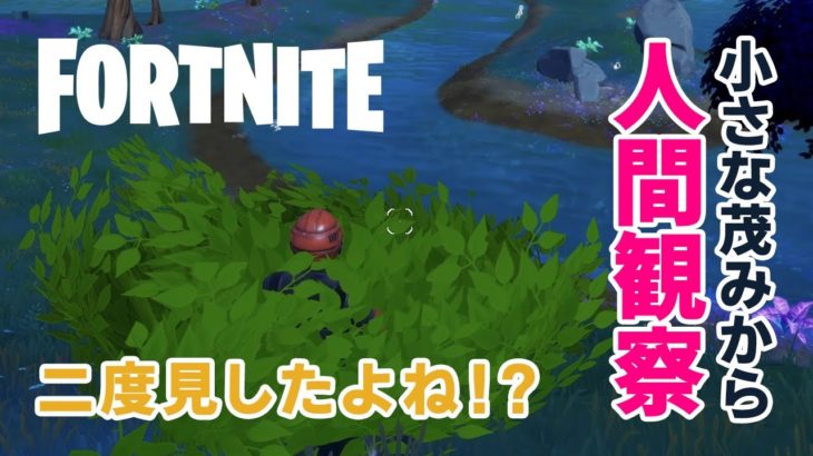 【フォートナイト初心者／ゼロビルド】小さな茂みに隠れていたらバレる！？ バレない！？【フォートナイト／FORTNITE】