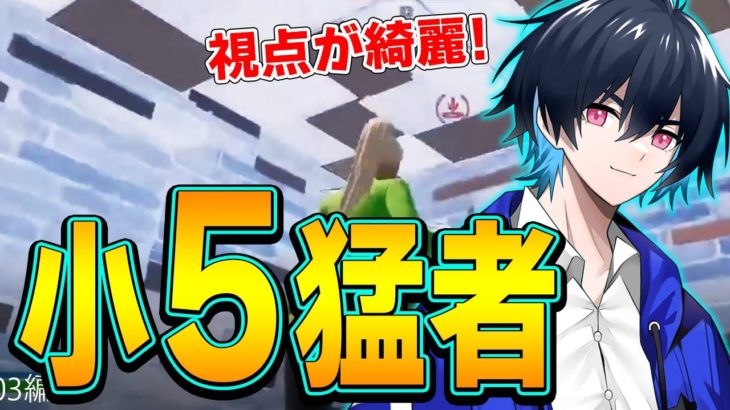 【コーチング】小学生離れした堅実なプレイをする猛者現る！【フォートナイト/Fortnite】