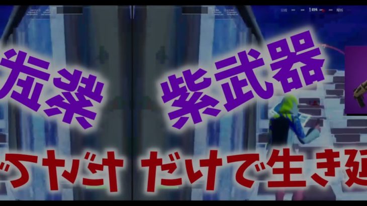 【フォートナイト】初心者が紫武器縛りやってみた結果・・・