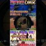 【フォートナイト】DMRを愛しすぎて2カ月経った初心者【ゼロビルド】