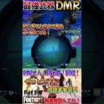 【フォートナイト】DMRが好きすぎてDMR探す間にやられる初心者です【キル集】