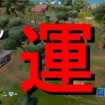 初心者ぜんのゼロビルド　運【フォートナイト/Fortnite/ゼロビルド】