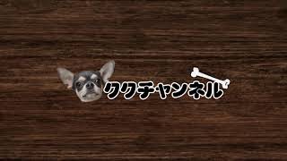 フォートナイト生配信　参加型　初見さん、初心者さん、エンジョイ勢さん、大歓迎です!!!ちょっとだけでもコメントして頂けたら必ずお答えします。よろしくお願いします。