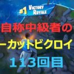 難しい建築が出来なくてもビクロイ！！自称中級者のノーカットビクロイ113回目【フォートナイト/FORTNITE】