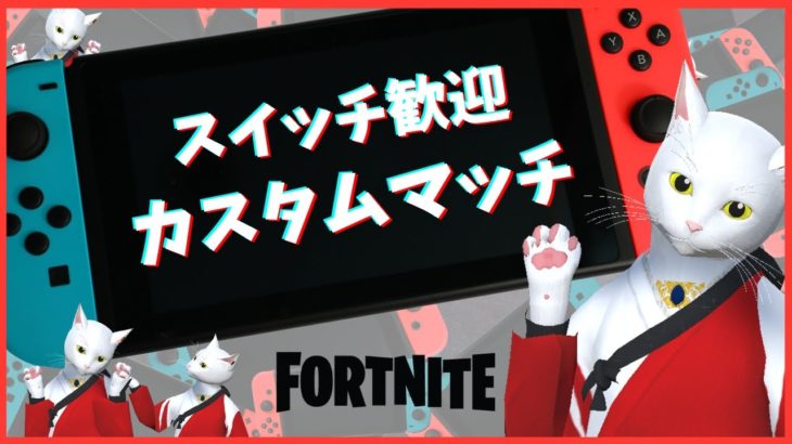 カスタムマッチ  スイッチ歓迎【ギフト付き】｜フォートナイトライブ FORTNITE フォトナ