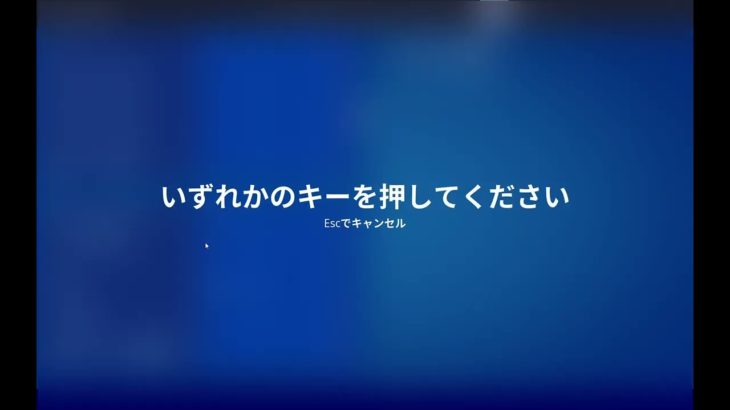 pc初心者による初フォートナイト‼（初投稿）