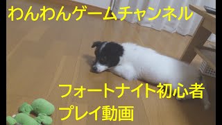 カテマセン！　フォートナイト初心者（再アップ）