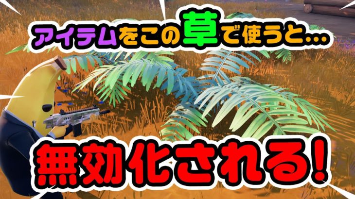 【注意！】アイテムをこの草の上で使うと無効化される！など チャプター3シーズン4新要素イロイロ検証動画 第756弾【フォートナイト / Fortnite】