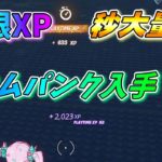 【フォートナイト】 シーズン4 無限XP クロムパンク入手！！超簡単レベル上げ目指せLv100 41