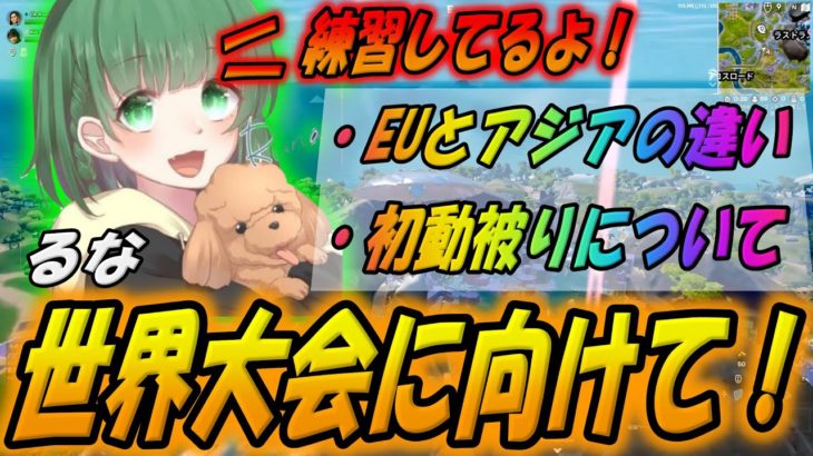 るなが世界大会に向けて語る！EUとアジアの違いや降下や初動勝負について！【配信切り抜き】【フォートナイト/Fortnite】