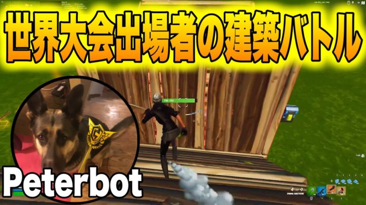 世界大会出場者Peterbotの1v1建築バトル【フォートナイト/Fortnite】【配信切り抜き】