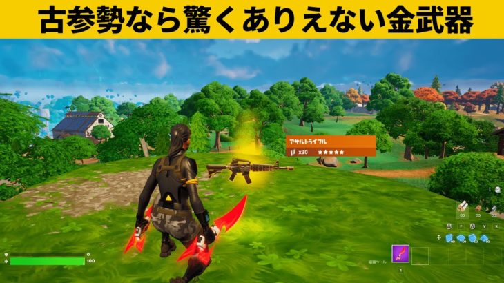 【小技集】金アサルトが追加されてる!?チャプター４チート級最強バグ小技裏技集！【FORTNITE/フォートナイト】