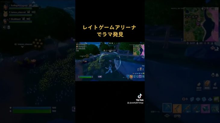 レイトゲームアリーナでラマを倒した結果…　#フォートナイト #初心者 #ネタ #fortnite #enjoy #beginner #lategame