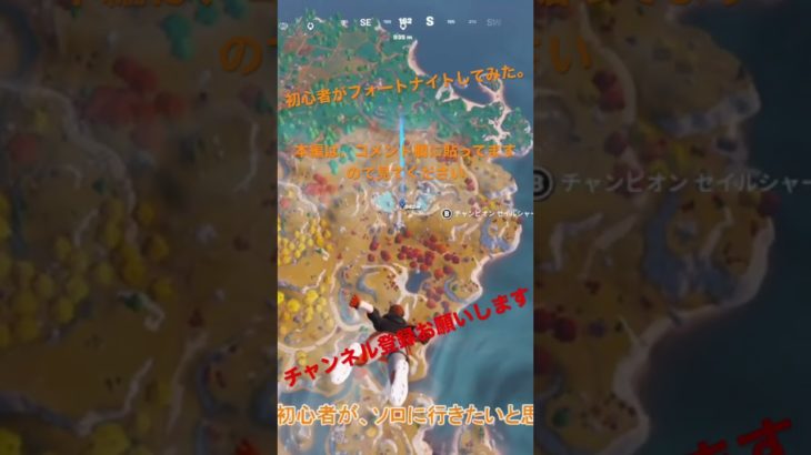 フォートナイト初心者がフォートナイトしてみた。