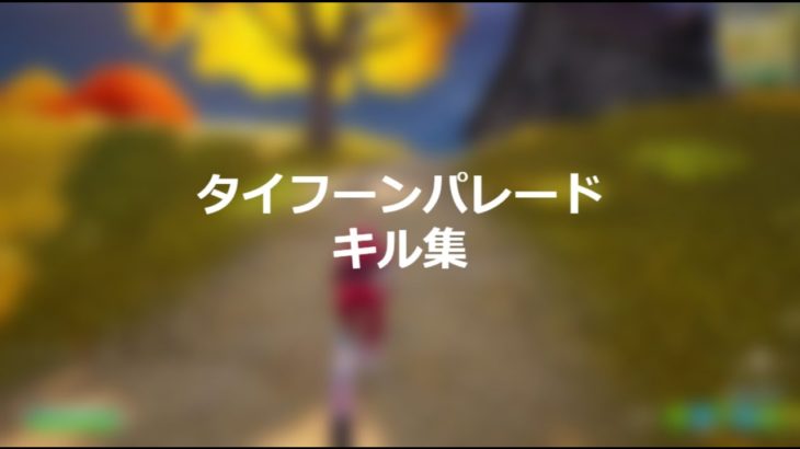 初！タイフーンパレードキル集 「フォートナイト」パソコン初心者が初めてキル集つくってみた！