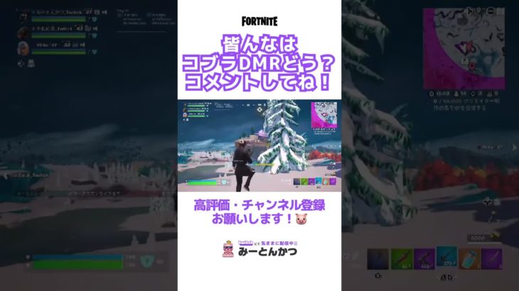 皆んなはコブラDMRどう思う？ #フォートナイト #フォートナイト配信 #配信初心者 #switch #fortnite