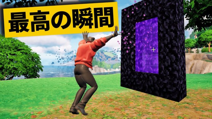 【最高の瞬間30選】ネザーゲートに入った結果ｗｗｗ神業面白プレイ最高の瞬間！【Fortnite/フォートナイト】