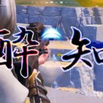 【FORTNITE】建築ができないAPEX民によるキル集【キル集】