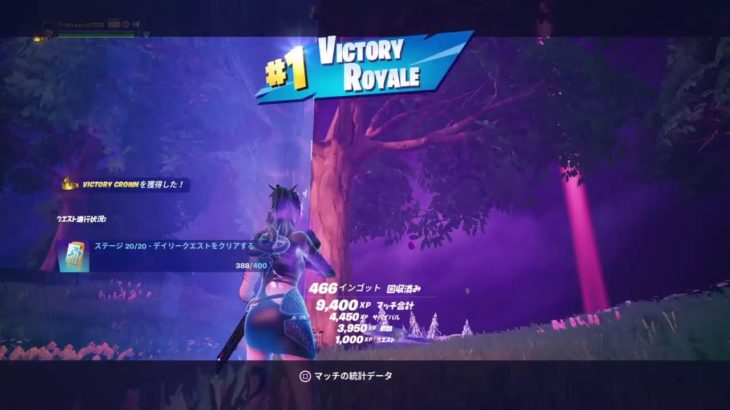 Fortnite 気まぐれフォートナイト(参加OK！・パーティ時のみボイチャオン)