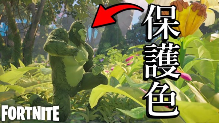 今シーズンは保護色ゴリラが最強です【Fortnite】