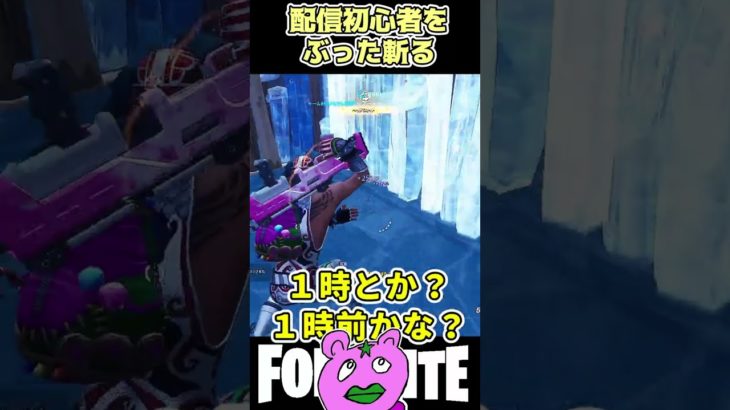 配信初心者を…【フォートナイト/Fortnite】