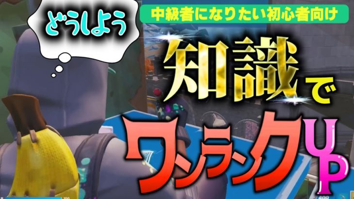 【中級者になりたい初心者向け】場面ごとの有利ポジションを知ろう！編集ガン待ち対策も【フォートナイト/Fortnite】