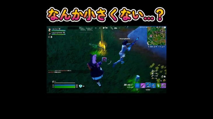 【フォートナイト/Fortnite】なんか小さくない…？ ＃Shorts ＃フォートナイト ＃Fortnite