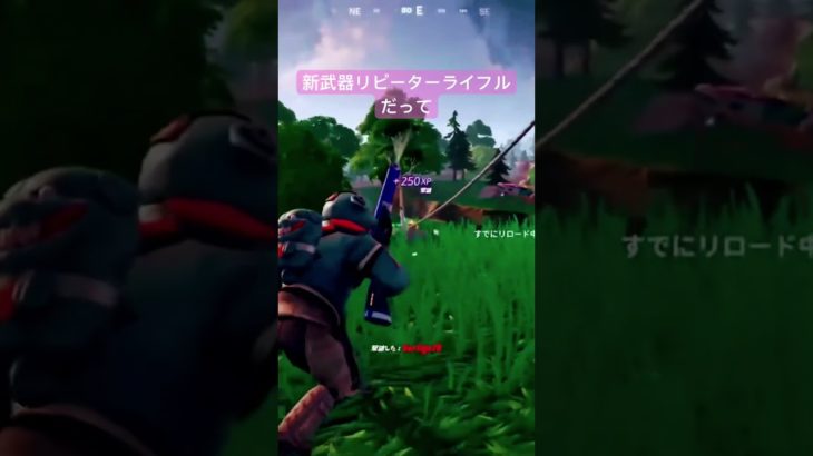 新武器リピーターライフルだそうです #初心者 #ゼロビルド #fortnite #フォートナイト #fortniteclips #ps5