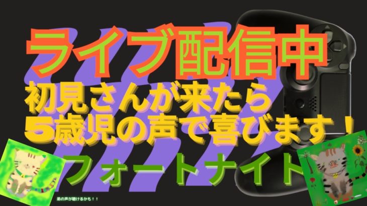 誰でも入ってどうぞ【フォートナイト参加型配信】初心者～上級者までだれでも入って来て下さい