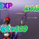 【フォートナイト】 チャプター4シーズン3 無限XP 超簡単 25万XP超え！レベル上げ目指せLv100 18