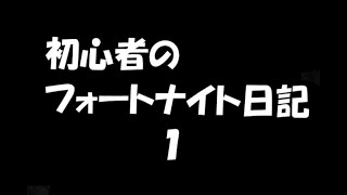 「初心者フォートナイト日記」　１